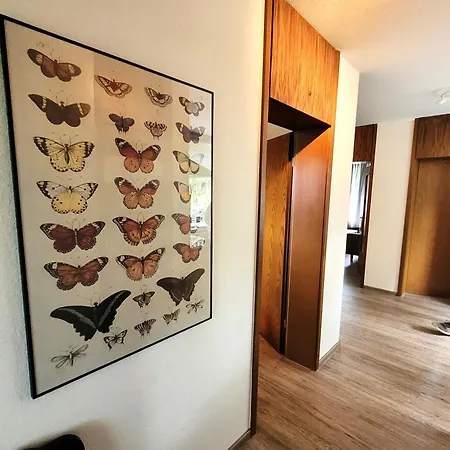 21097 Apartamento *